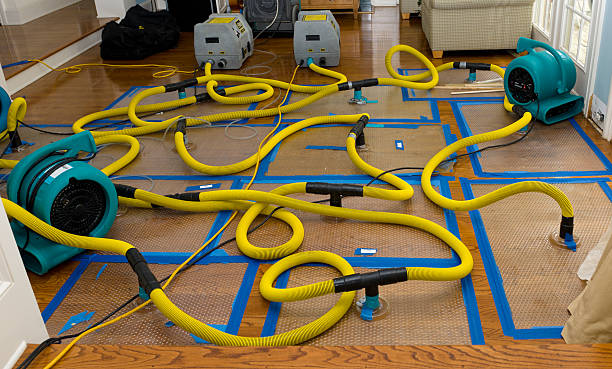 Professional Water Damage Repair technician working in Monhegan, ME